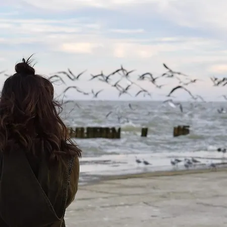 Apartamento White Pearl 2.14 *