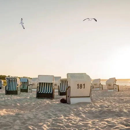 Apartment White Pearl 2.14