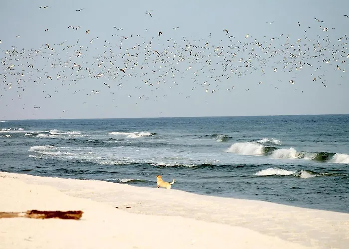 Apartamento White Pearl 2.14 *